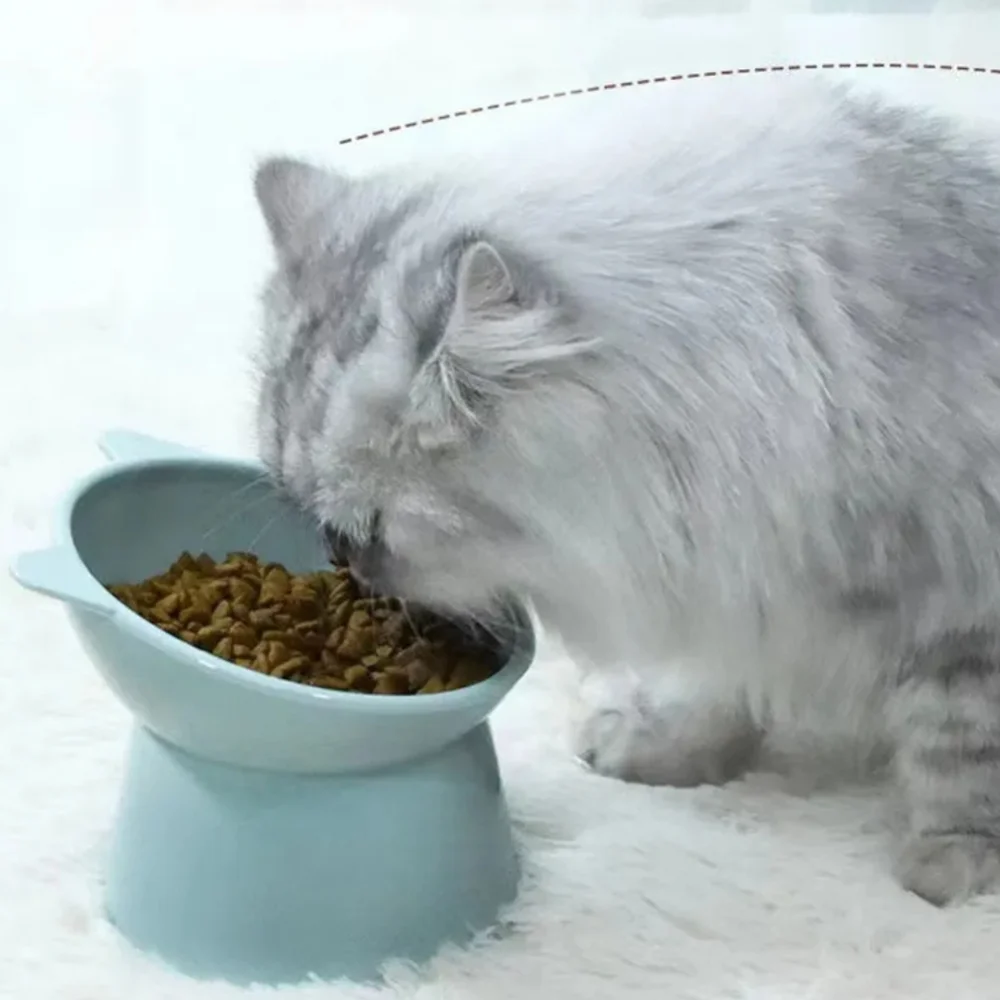 Really Cute Elevated Food Bowl Dog Cat NWT